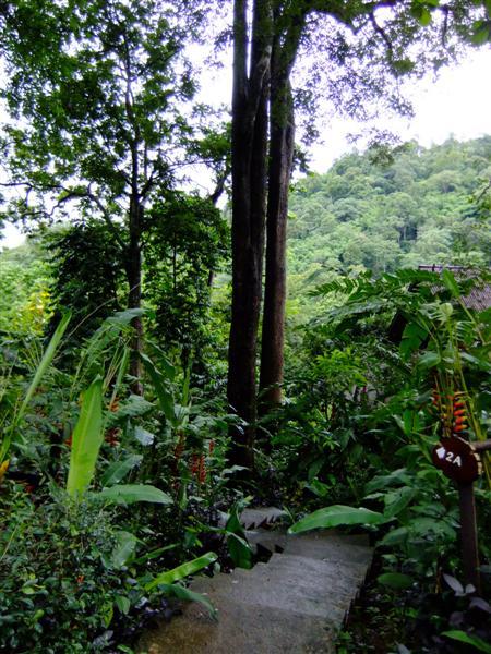 DSCF8665 (Medium).JPG